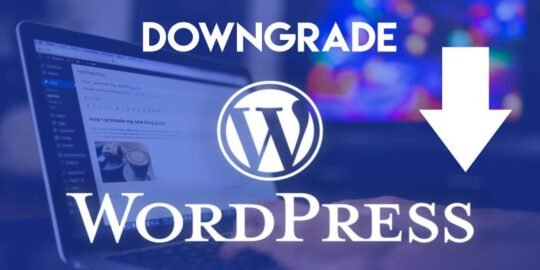 Downgrade WordPress