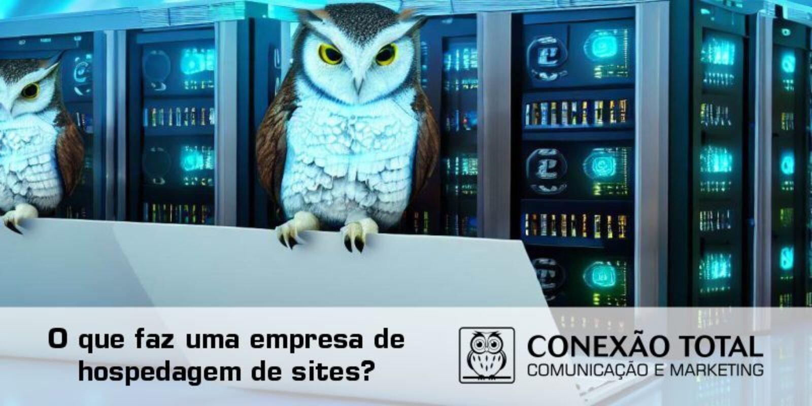 O que faz uma empresa de hospedagem de sites