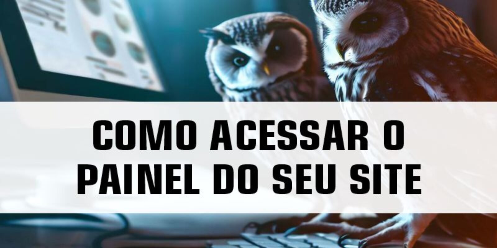 Como acessar o painel administrativo de um site WordPress