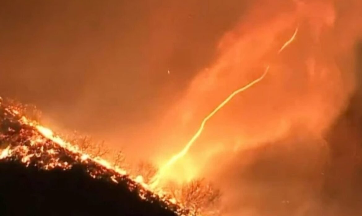 Como ChatGPT ‘denunciou’ suspeito por incêndio que devastou Los Angeles