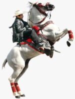 Kit Decoração de Festa Beto Carrero Completo Painel Grande - Imagem 3