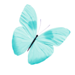 Kit Decoração de Flores e Borboletas Completo Painel Grande - Imagem 3