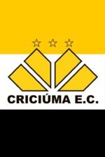 Kit Decoração de Criciúma Completo Painel Grande - Imagem 6