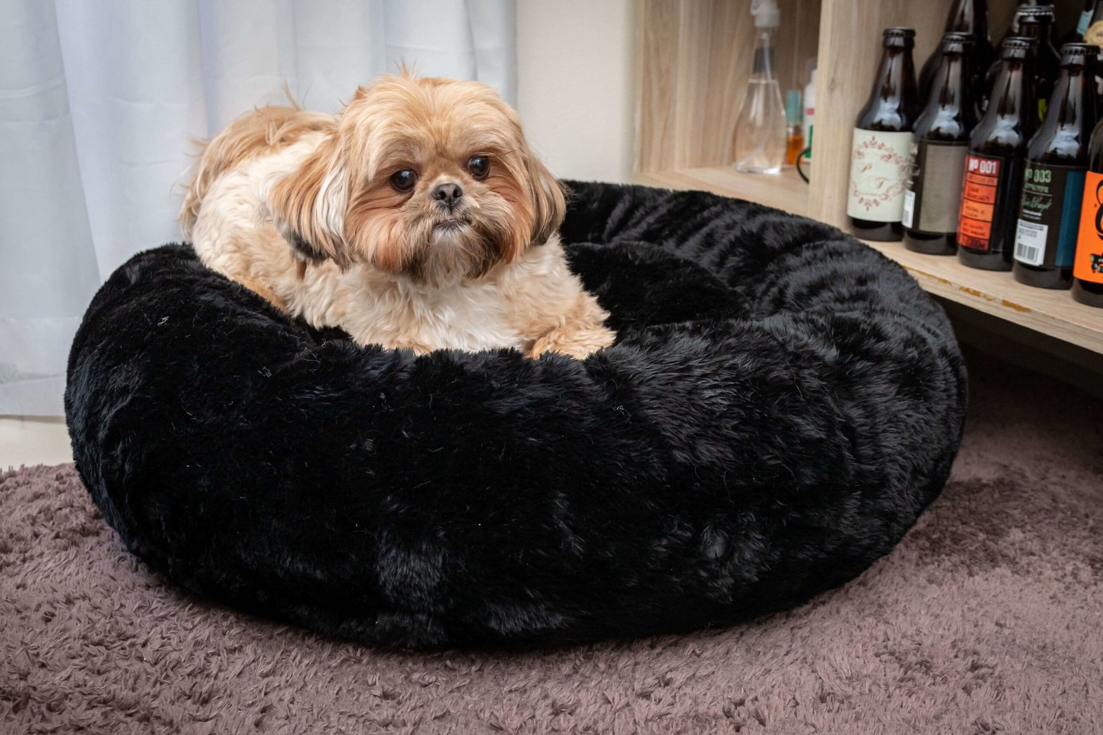 cama-pet-nuvem-de-pelucia-p-preta-cama-pet