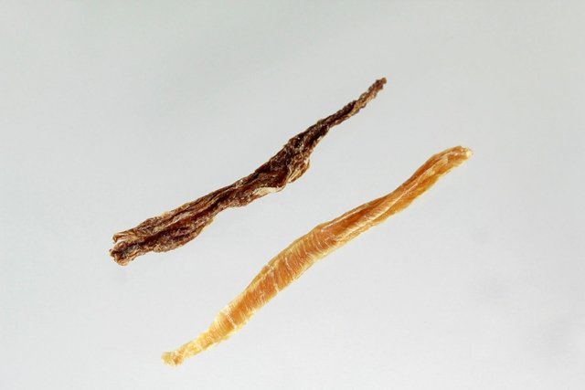 caonutristickmixcarneefrango40g2-1_97cb06da-1a19-40da-93c7-f23ee1e8a3b21-9075e25a683ad0f6c516621523074806-640-0