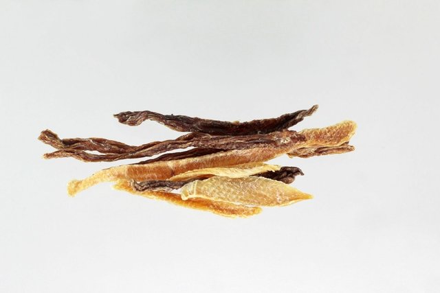 caonutristickmixcarneefrango40g3_a1296054-8024-4d2f-a192-73cbc95339fb1-d6bc17baf293c052dd16621523074251-640-0